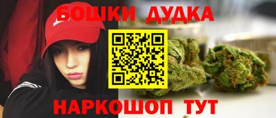 стафф Будённовск
